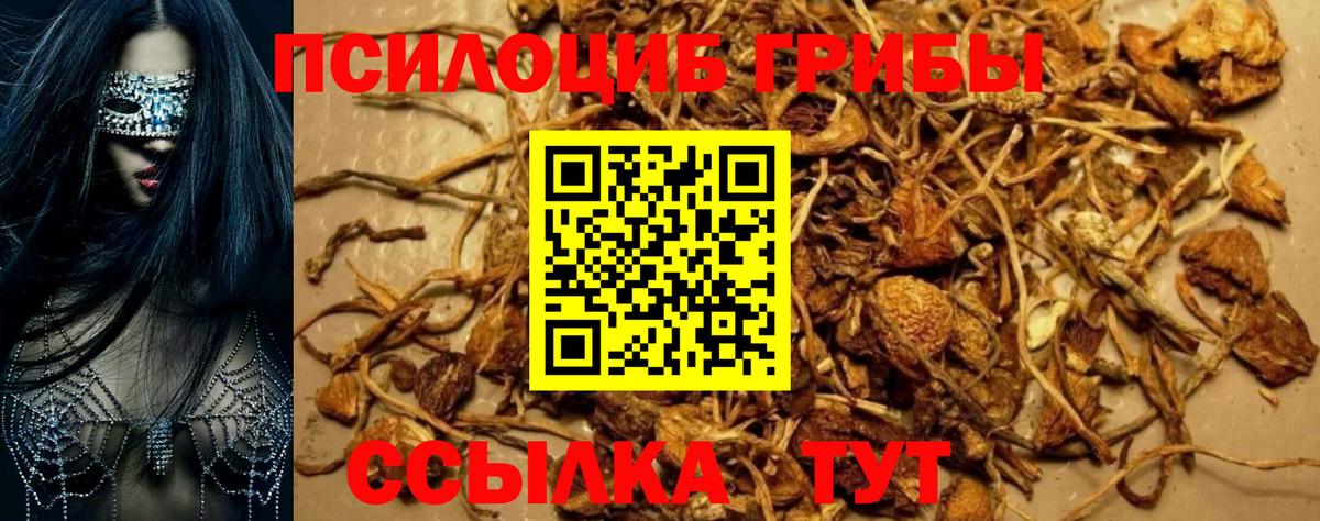 Галлюциногенные грибы прущие грибы Новороссийск